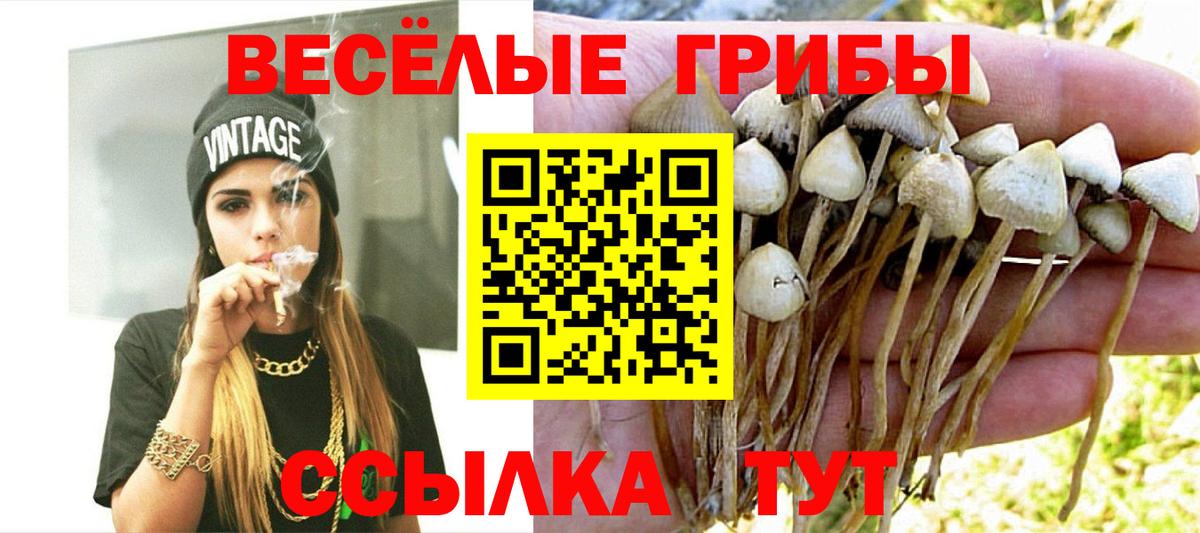 Канск  Галлюциногенные грибы ЛСД  Псилоцибиновые грибы мицелий  Вход с VPN 